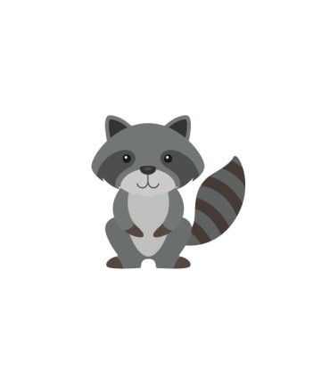 استیکر طرح راکون