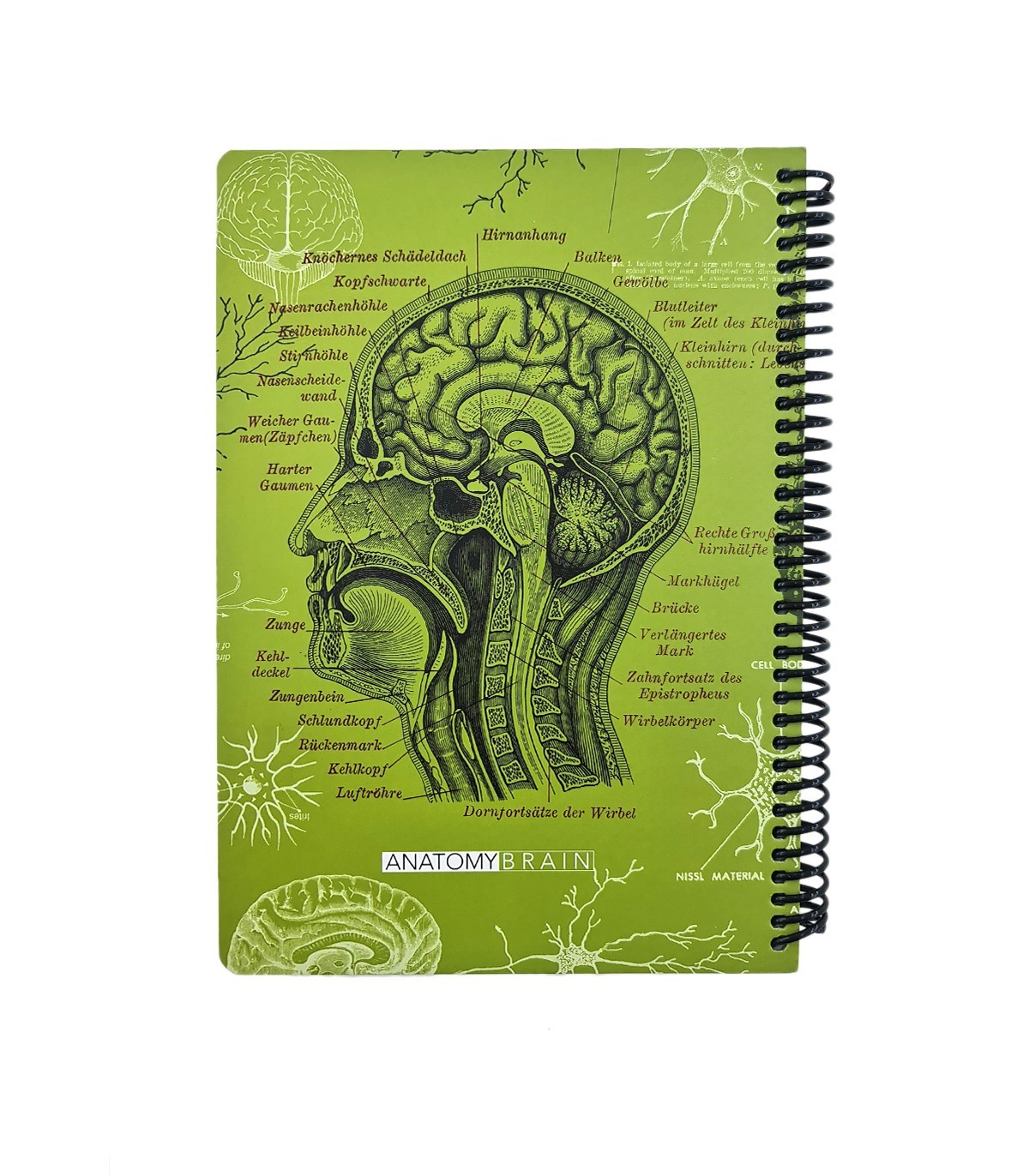 دفتر 100 برگ Science دات نوت طرح آناتومی مغز  dotnote