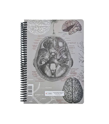 دفتر 100 برگ Science دات نوت طرح آناتومی مغز  dotnote