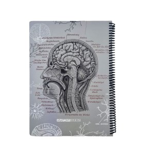 دفتر 100 برگ رحلی Science دات نوت طرح آناتومی مغز