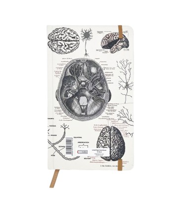 دفتر اروپایی خط دار دات نوت - طرح آناتومی مغز