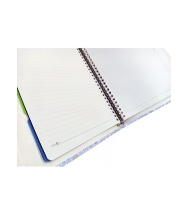 کلاسور 26 حلقه مستر نوت کد 21