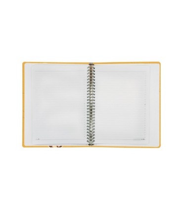 کلاسور 26 حلقه مستر نوت کد 13