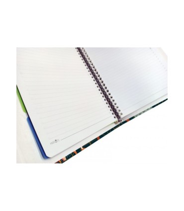 کلاسور 26 حلقه مستر نوت کد 19