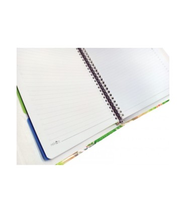 کلاسور 26 حلقه مستر نوت کد 02